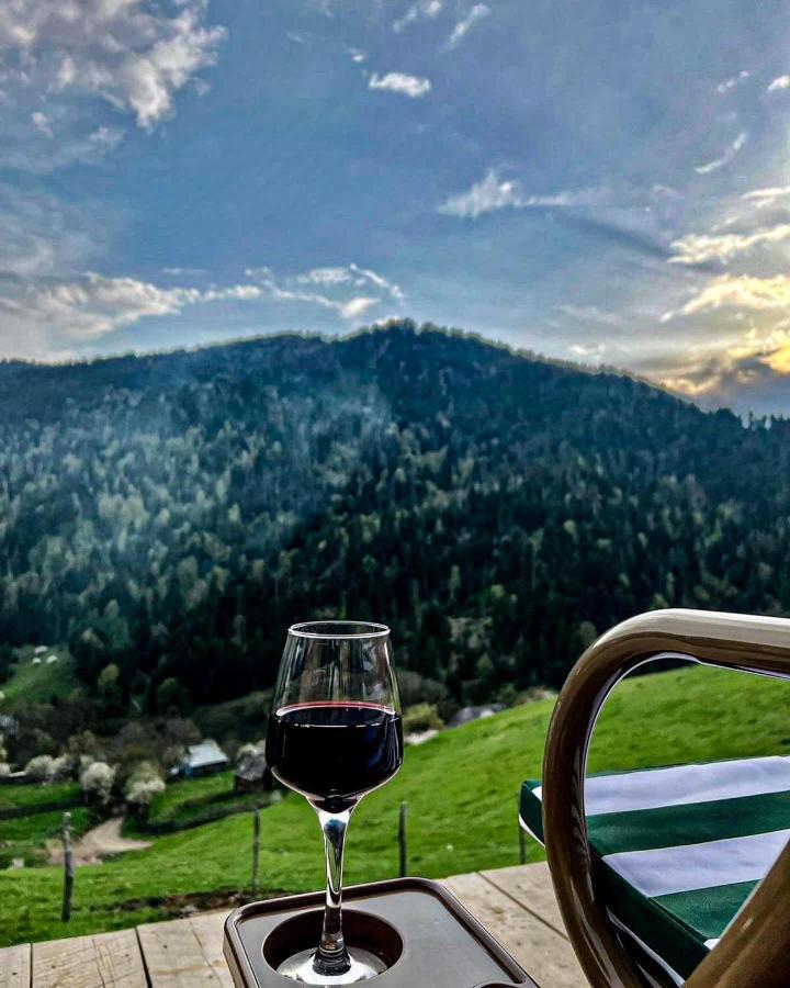 Mitarbi Silence - Cozy Holiday Cottages In Mountains Borjomi Eksteriør billede