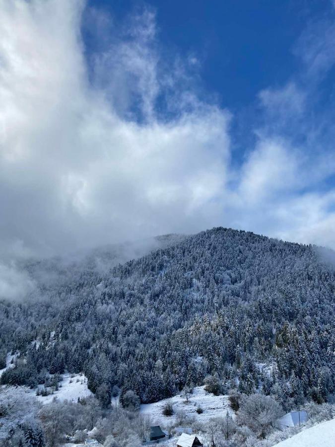 Mitarbi Silence - Cozy Holiday Cottages In Mountains Borjomi Eksteriør billede