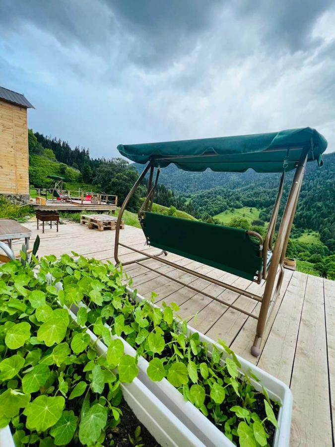 Mitarbi Silence - Cozy Holiday Cottages In Mountains Borjomi Eksteriør billede
