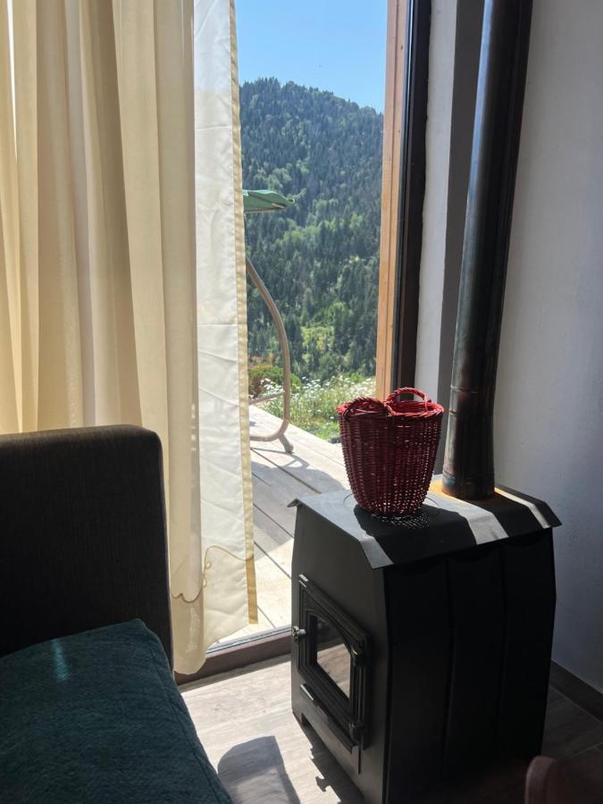 Mitarbi Silence - Cozy Holiday Cottages In Mountains Borjomi Eksteriør billede