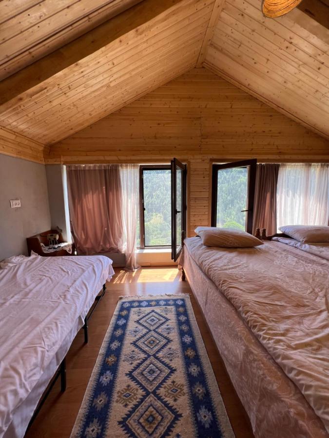 Mitarbi Silence - Cozy Holiday Cottages In Mountains Borjomi Eksteriør billede
