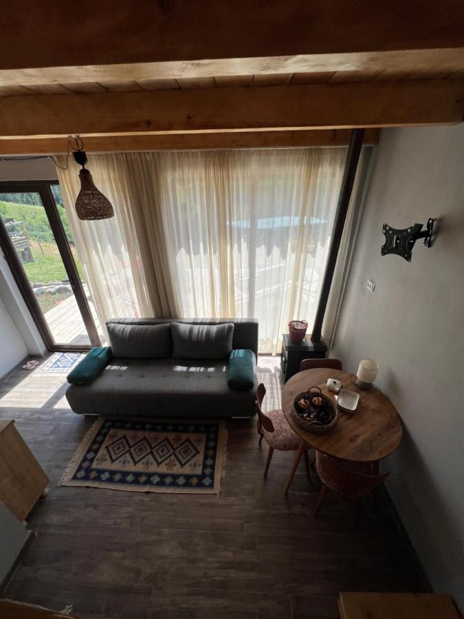 Mitarbi Silence - Cozy Holiday Cottages In Mountains Borjomi Eksteriør billede
