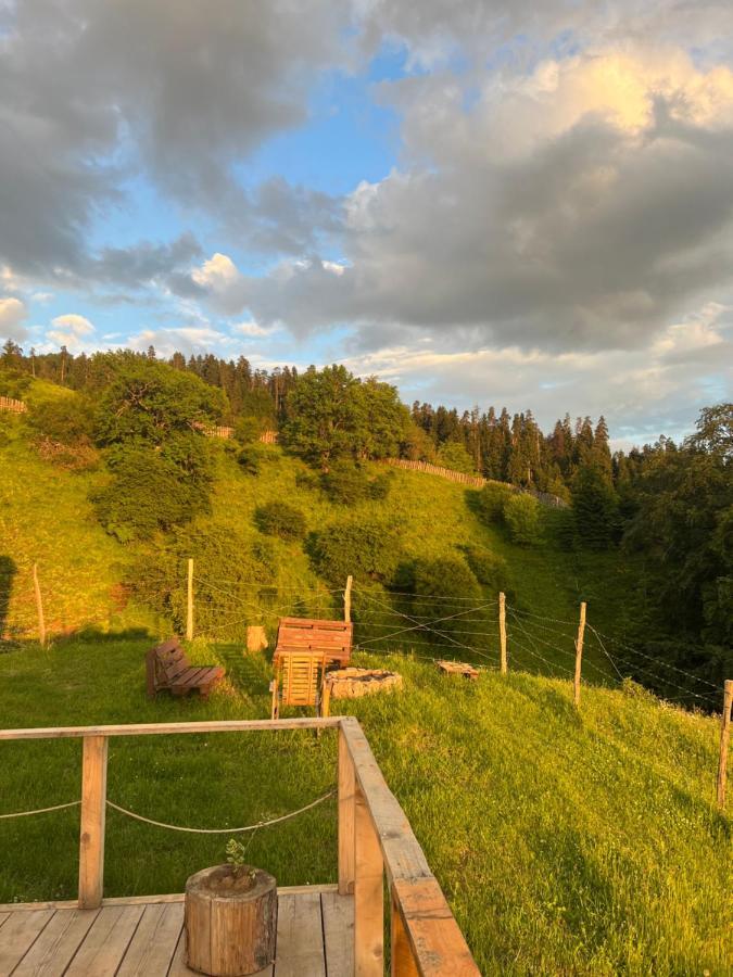 Mitarbi Silence - Cozy Holiday Cottages In Mountains Borjomi Eksteriør billede