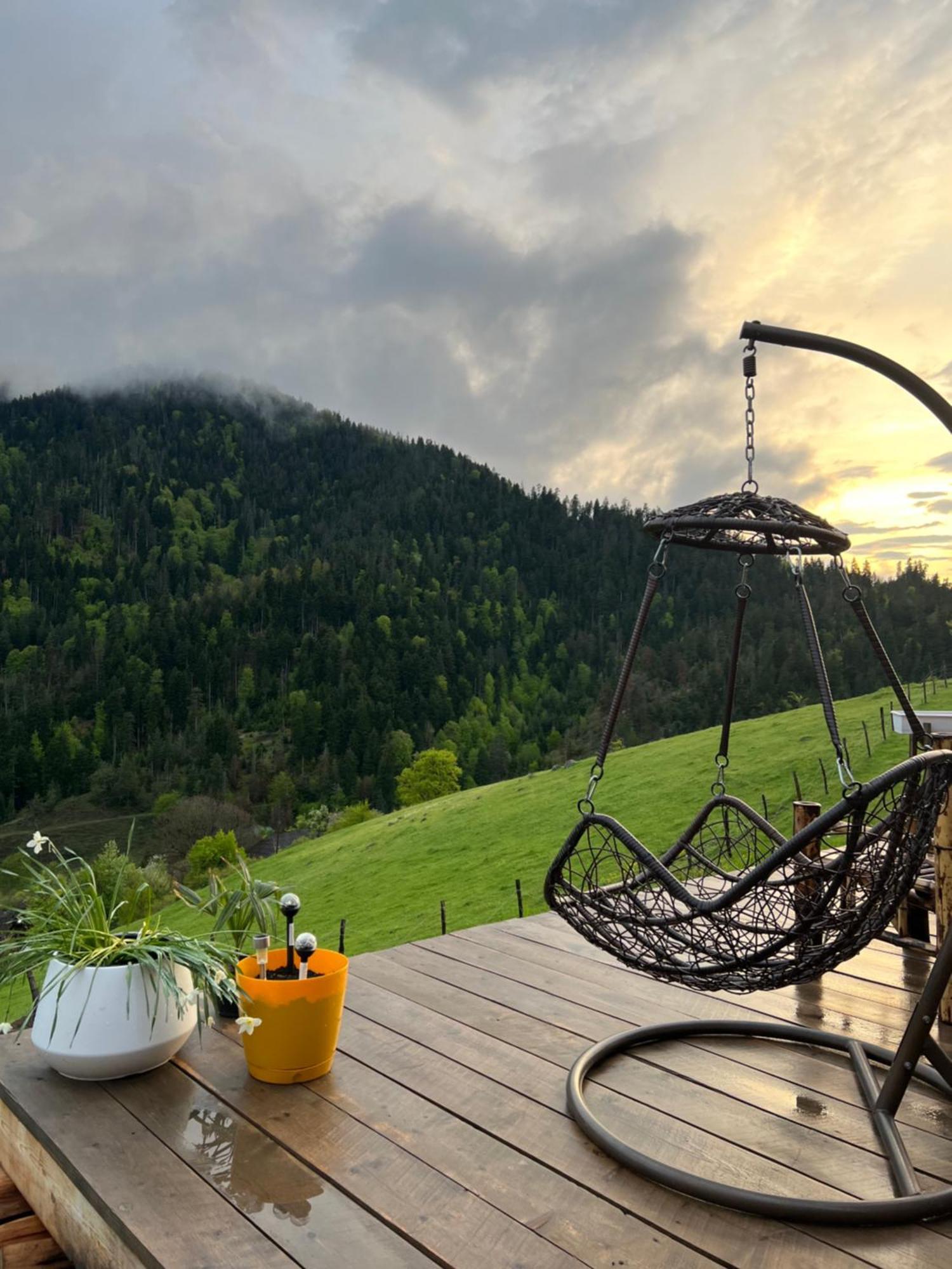 Mitarbi Silence - Cozy Holiday Cottages In Mountains Borjomi Eksteriør billede